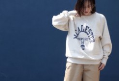 champion チャンピオン リバースウィーブ クルーネックスウェット C3-U037